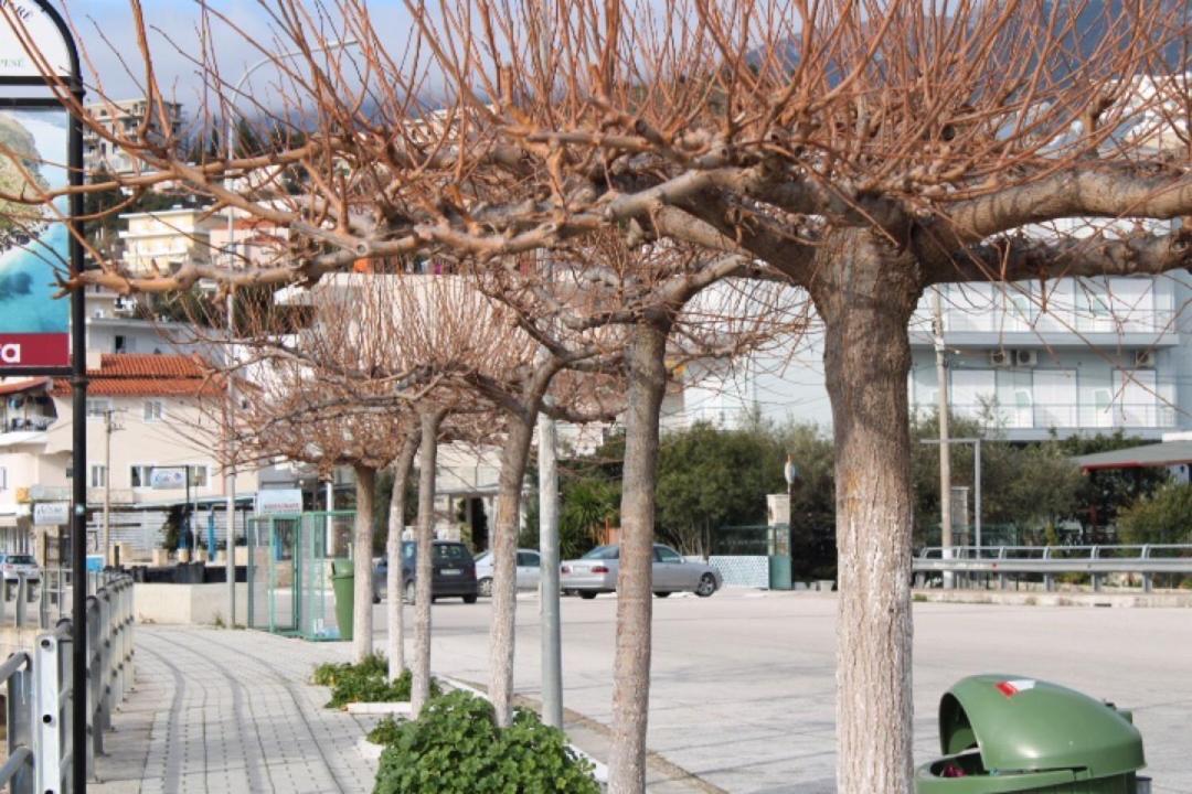 Portokali Hotel Himare